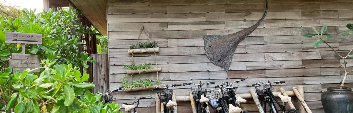 Fietsenafdak voortuin